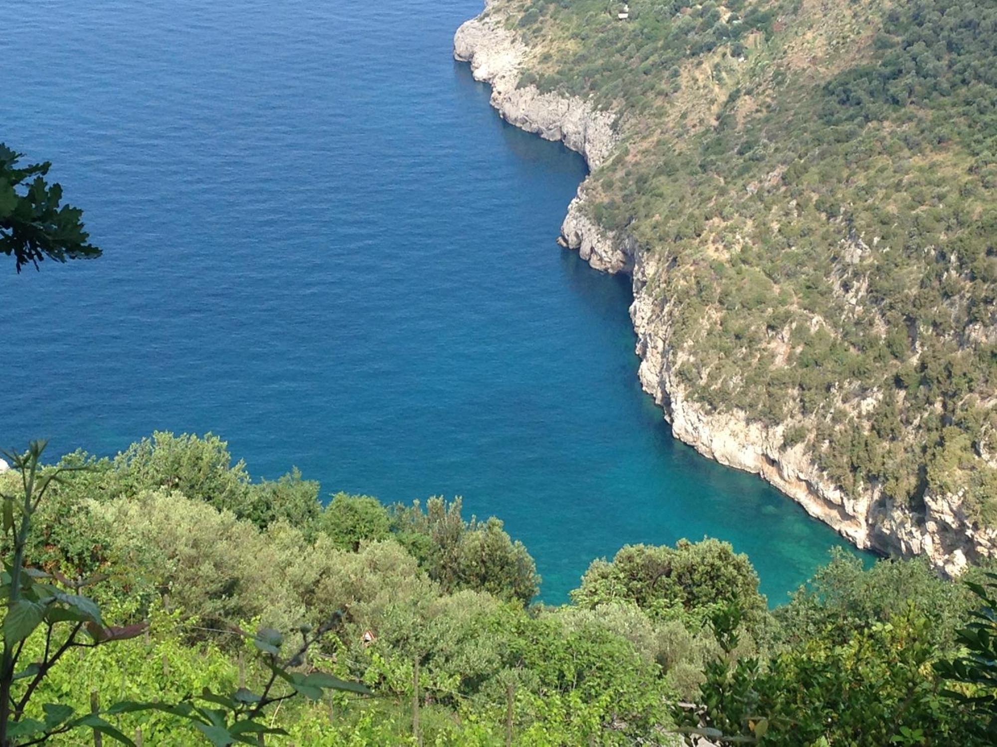 Bilocale Panoramico “Lo Sguardo” Apartment Massa Lubrense Bagian luar foto