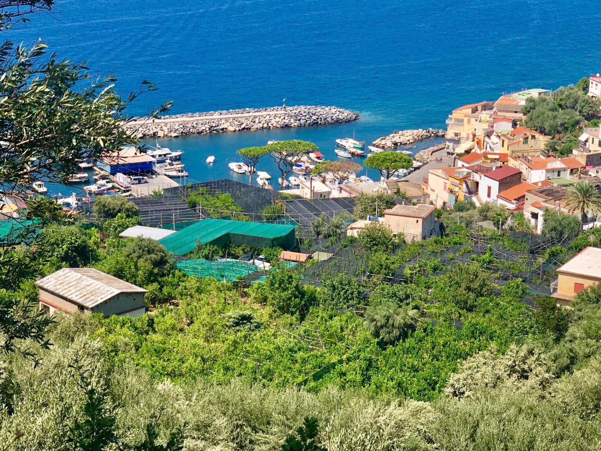 Bilocale Panoramico “Lo Sguardo” Apartment Massa Lubrense Bagian luar foto